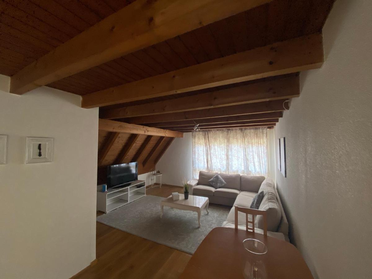 Get Cozy Family Flat Zuerich Leilighet Eksteriør bilde